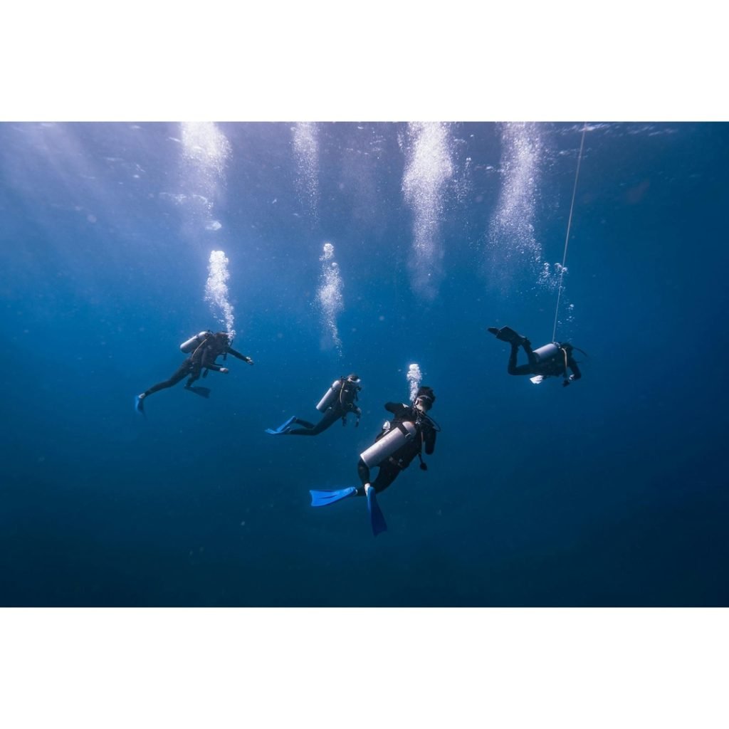 Unveiling the Underwater Paradise: A Diver's Guide to Maldives Dive Resorts and Sites