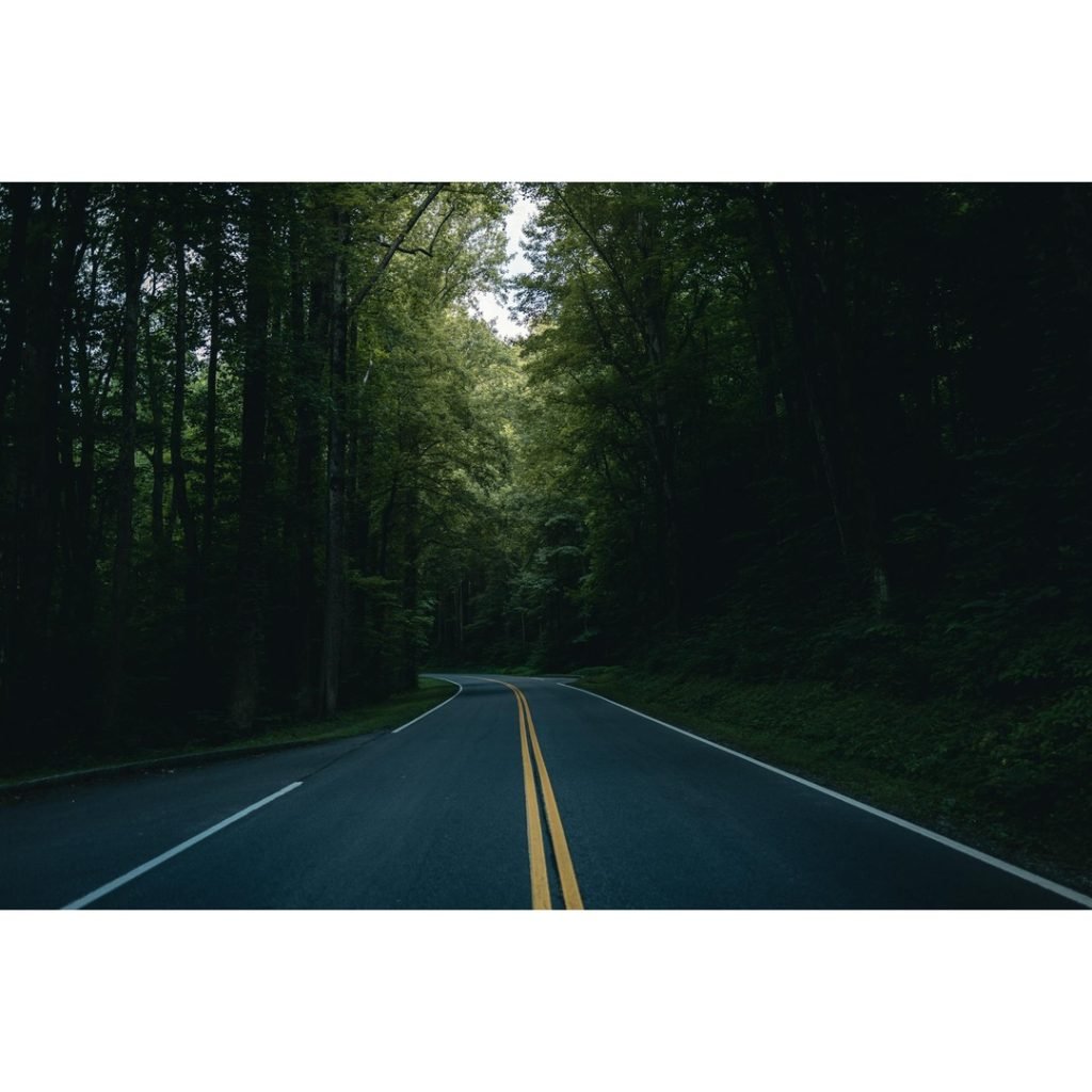 Shenandoah's Verdant Embrace: An Essential Guide to Trails in Virginia's Crown Jewel