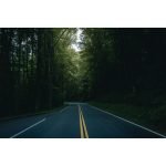 Shenandoah's Verdant Embrace: An Essential Guide to Trails in Virginia's Crown Jewel