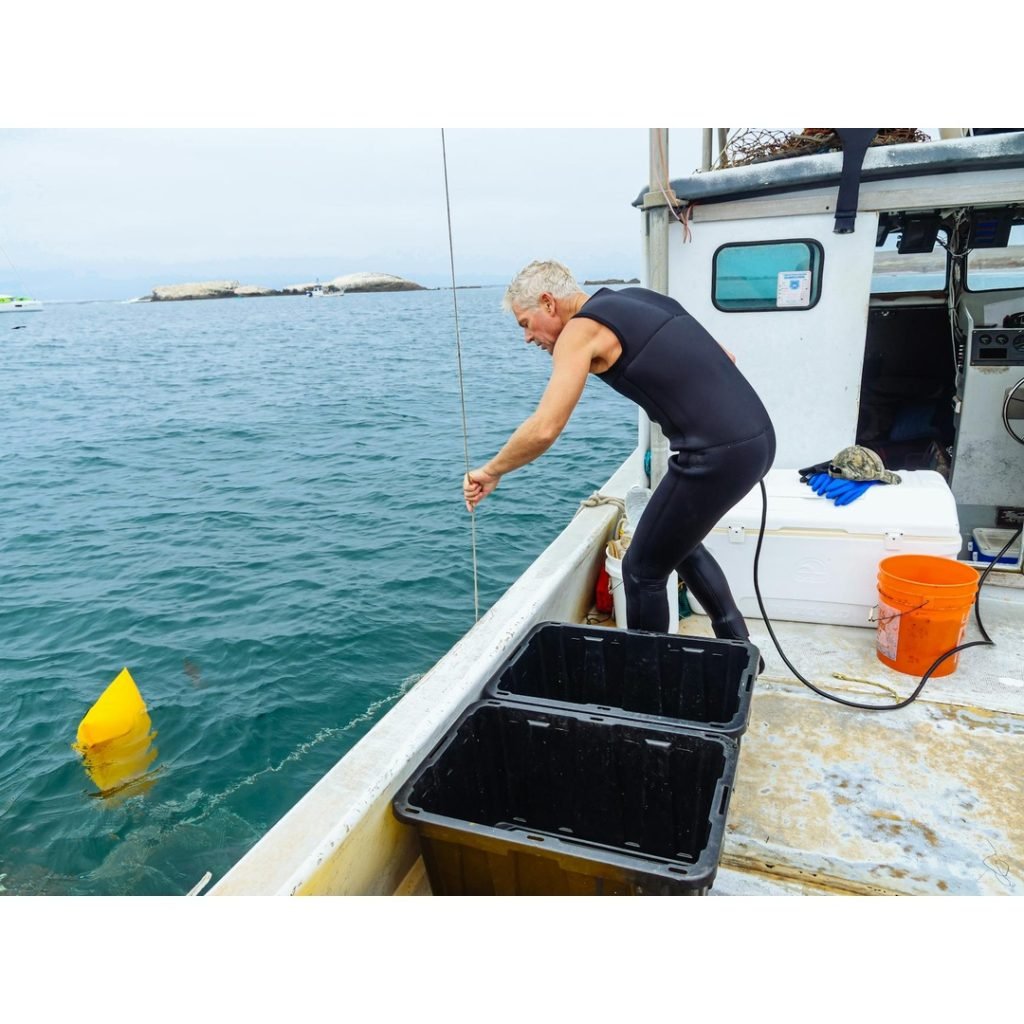 Unveiling the Underwater Majesty: Scuba Diving California's Channel Islands