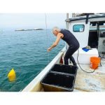 Unveiling the Underwater Majesty: Scuba Diving California's Channel Islands