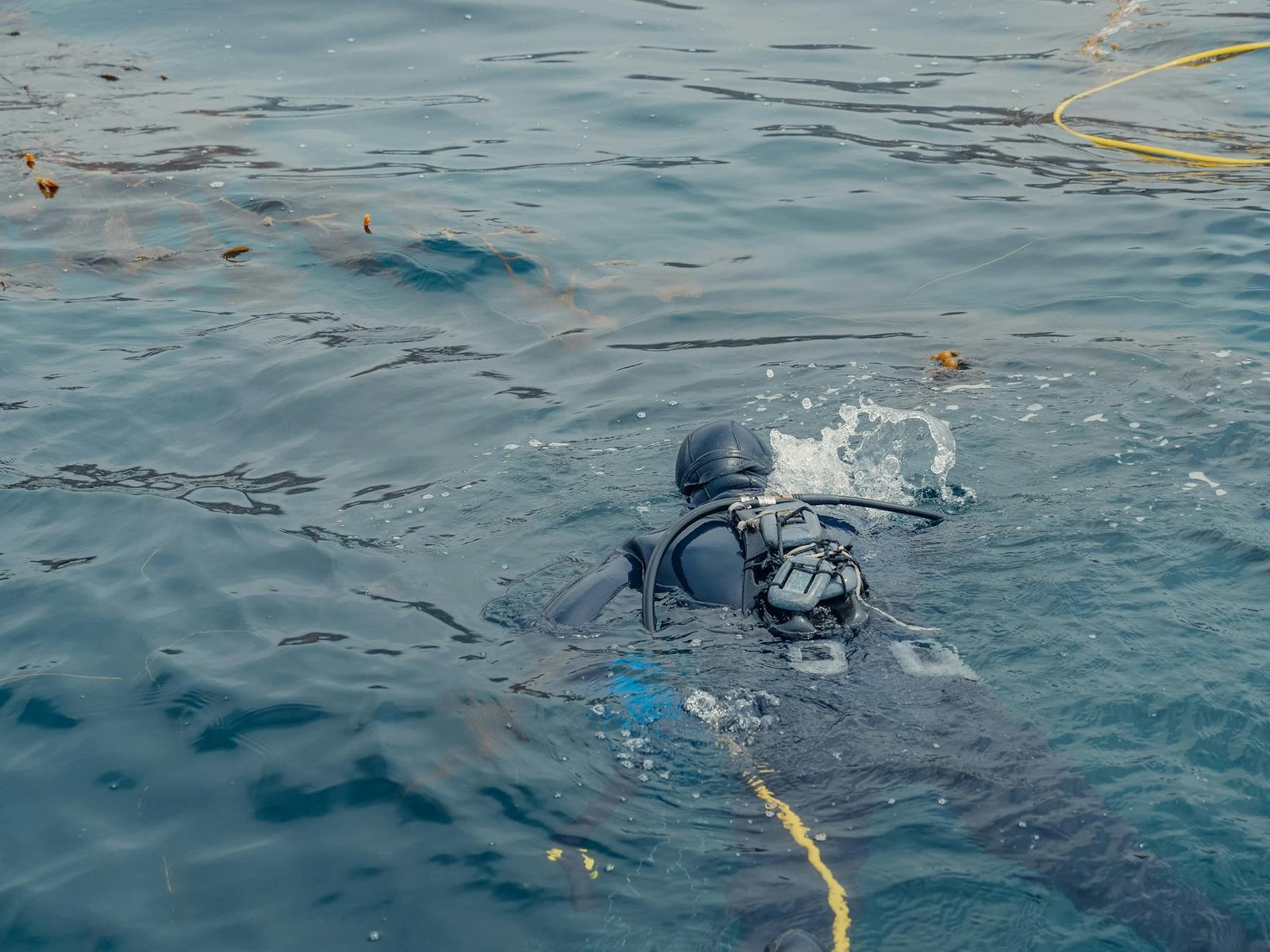 Unveiling the Underwater Majesty: Scuba Diving California's Channel Islands
