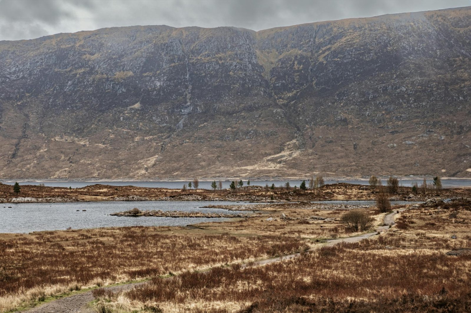Untamed Majesty: Your Definitive Guide to Trekking the Scottish Highlands