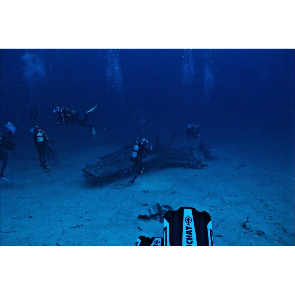 Guadalupe Island: The Ultimate Guide to Diving with Great White Sharks