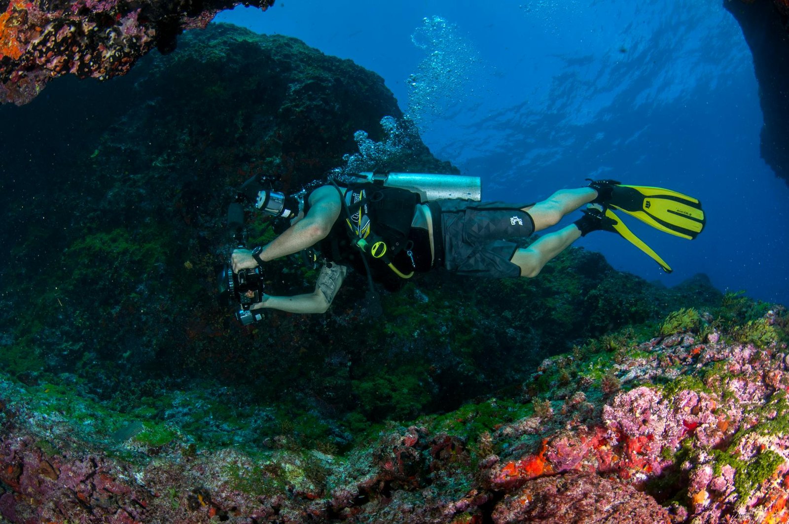 Dahab's Blue Hole: A Diver's Odyssey into the Red Sea's Enigmatic Abyss