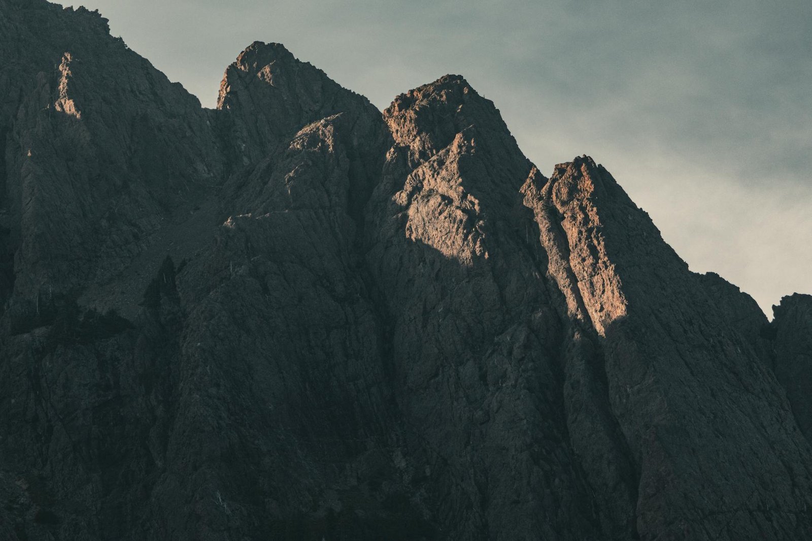 Olympic National Park Trails: A Hiker's Guide to Washington's Wilderness Masterpiece