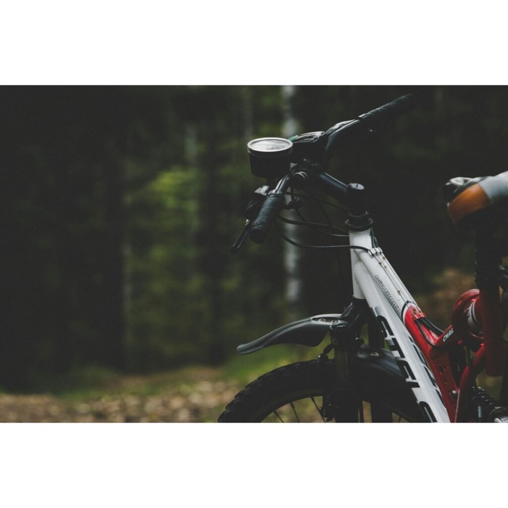 Cycling the Danube River Bike Path Europe: An Unforgettable Adventure