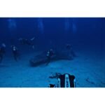 Unveiling the Underwater Majesty: Diving Sodwana Bay, South Africa