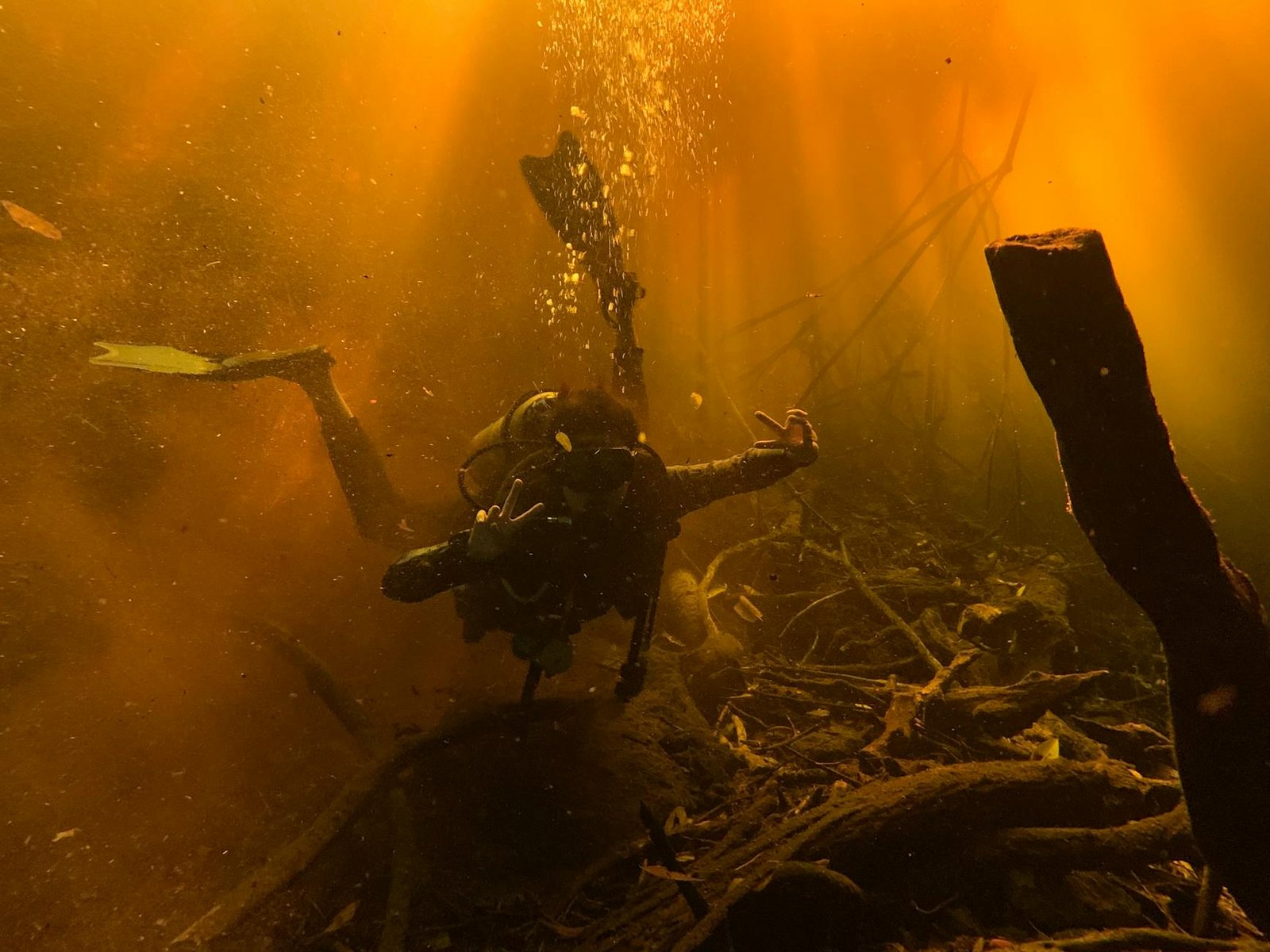 Unveiling the Underwater Majesty: Diving Sodwana Bay, South Africa