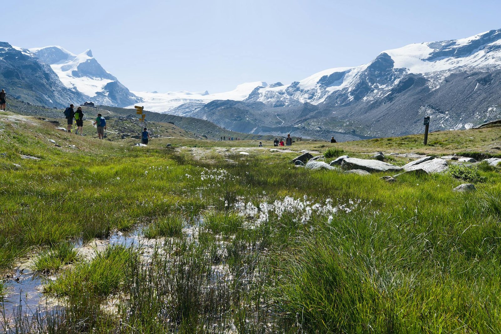 Unveiling the Majesty: Your Ultimate Guide to Hiking Routes in the Swiss Alps