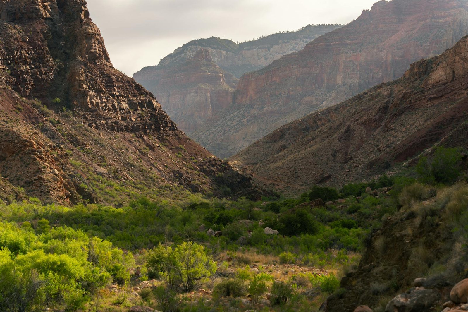 Hiking The Wave Arizona: A Journey to a Geologic Masterpiece