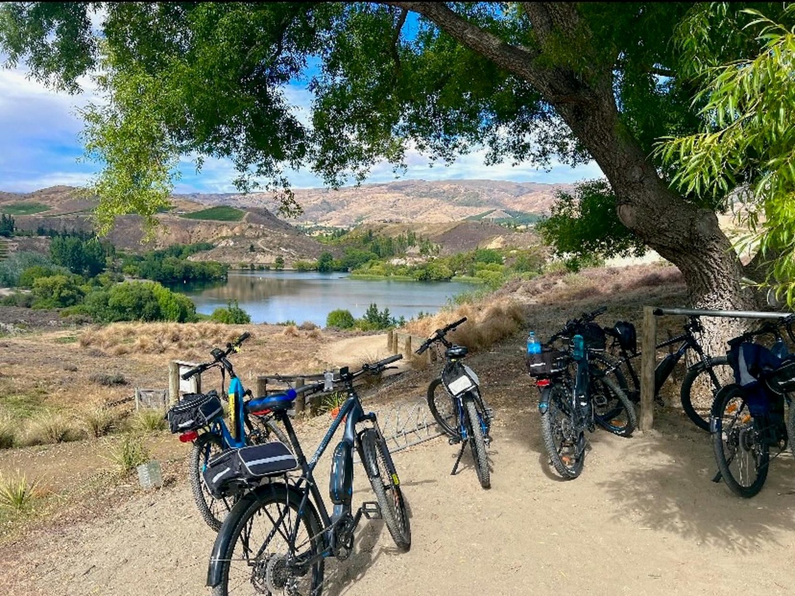 Conquer the Trails: Your Ultimate Guide to Mountain Biking Queenstown New Zealand