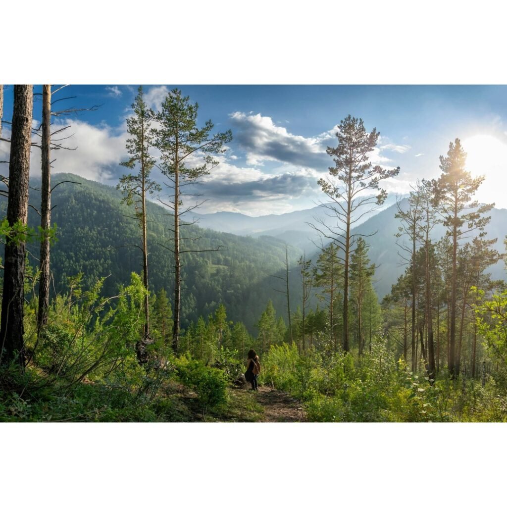 Trekking in Mongolia Altai Mountains: An Epic Journey into the Wild Heart of Asia