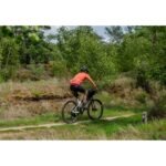 Cycling the Netherlands Countryside and Windmill Routes: An Enthusiast's Quick Guide