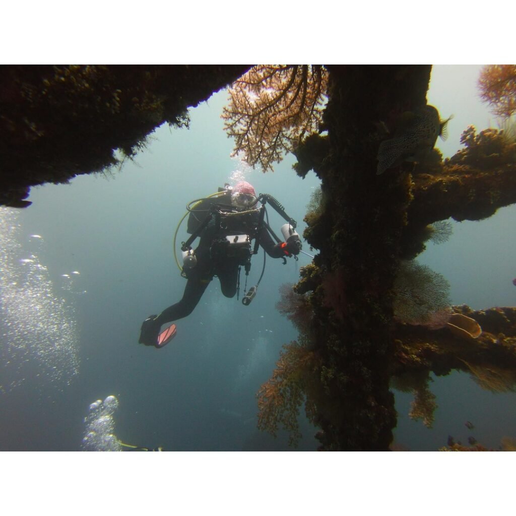 Scuba Diving Komodo National Park Indonesia: An Unforgettable Underwater Adventure