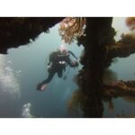 Scuba Diving Komodo National Park Indonesia: An Unforgettable Underwater Adventure