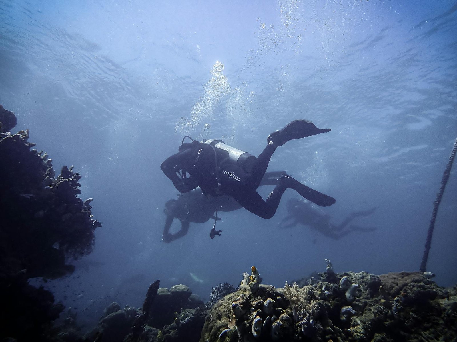 Scuba Diving Komodo National Park Indonesia: An Unforgettable Underwater Adventure