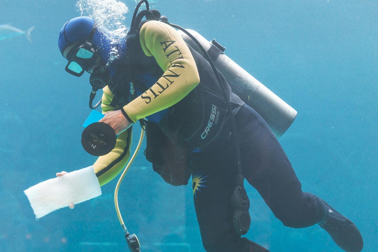Unveiling the Depths: An Enthusiast's Guide to Wreck Diving in the Bahamas