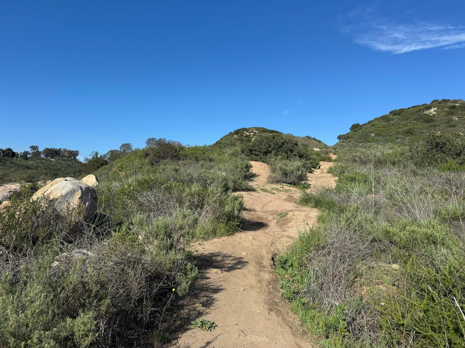 Conquering the High Sierra: Your Ultimate Guide to Hiking the John Muir Trail California