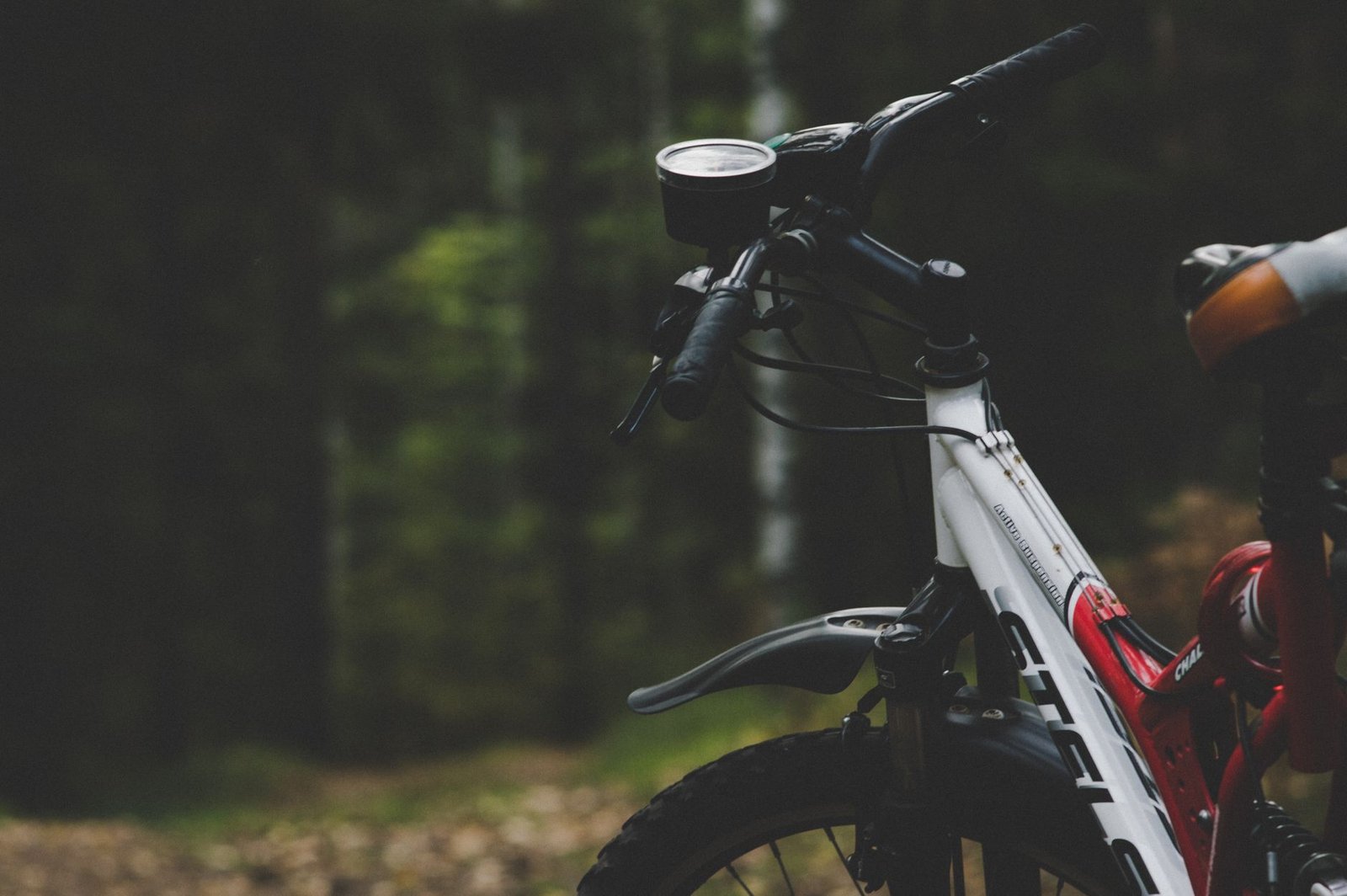 Mountain Biking Yukon Wilderness: An Epic Northern Adventure Awaits
