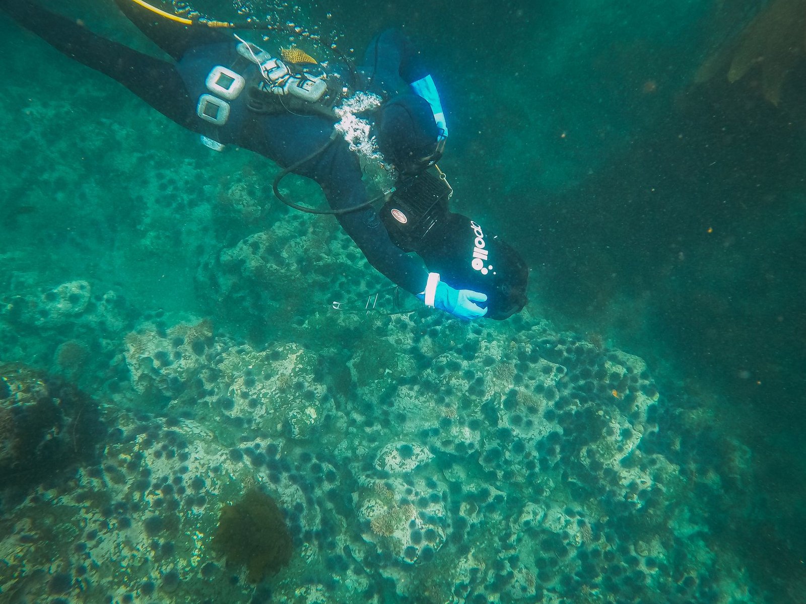 Diving Seychelles Granite Formations: An Underwater Journey Through Ancient Worlds