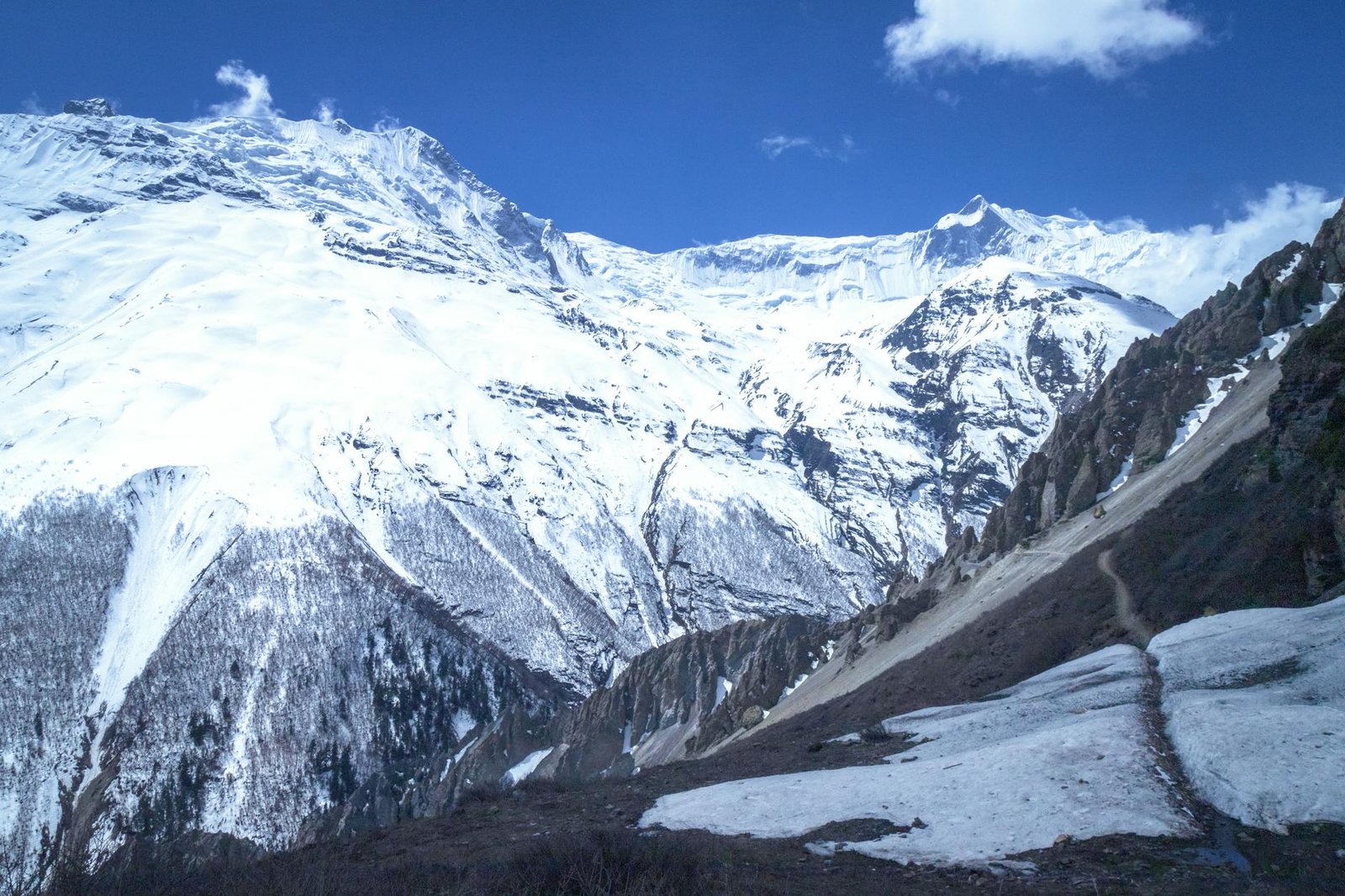 Trekking in Nepal Himalayas Annapurna: Your Ultimate Guide to an Unforgettable Journey