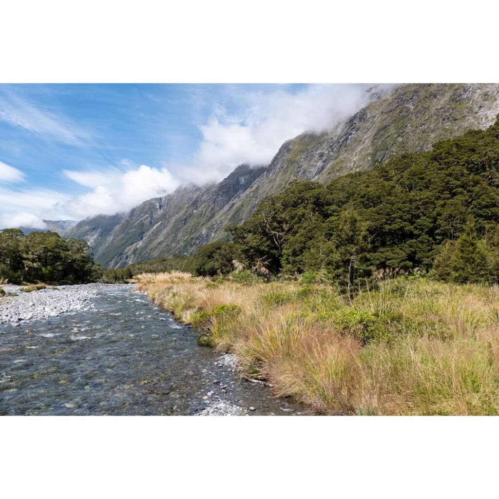 Unveiling the Majesty: Comprehensive Guide to Hiking Routes in New Zealand Milford Track