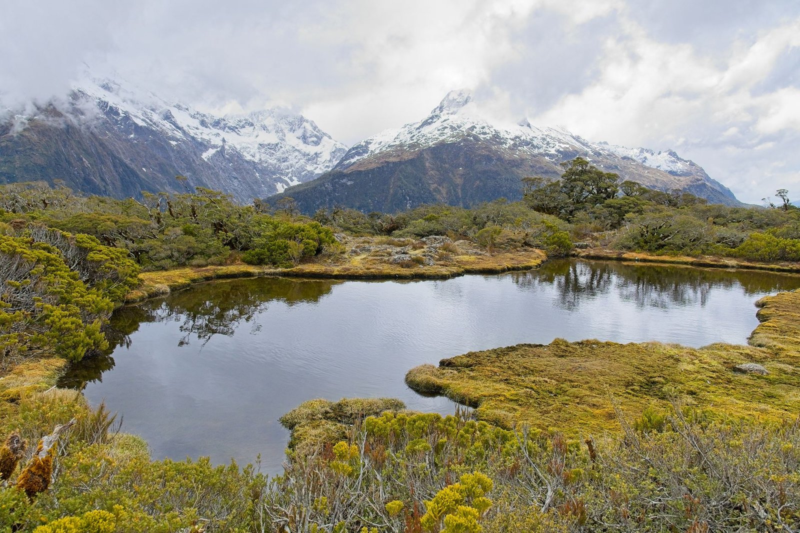 Unveiling the Majesty: Comprehensive Guide to Hiking Routes in New Zealand Milford Track