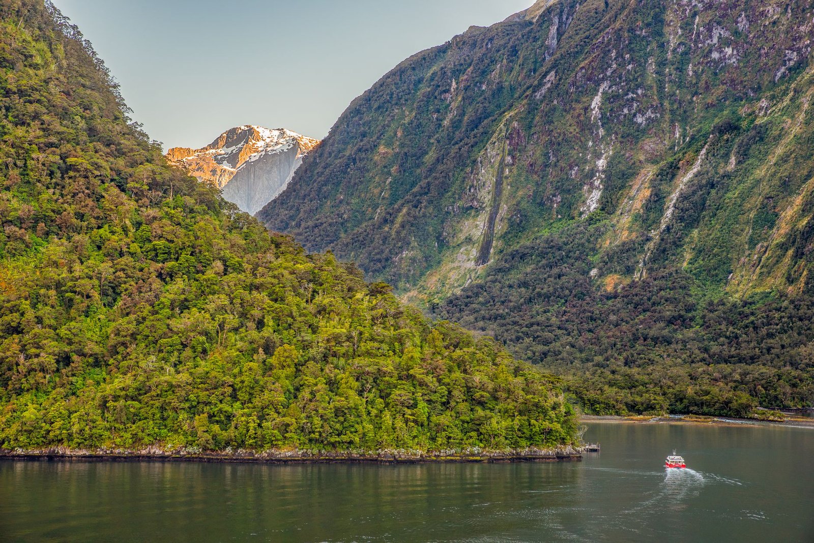 Unveiling the Majesty: Comprehensive Guide to Hiking Routes in New Zealand Milford Track
