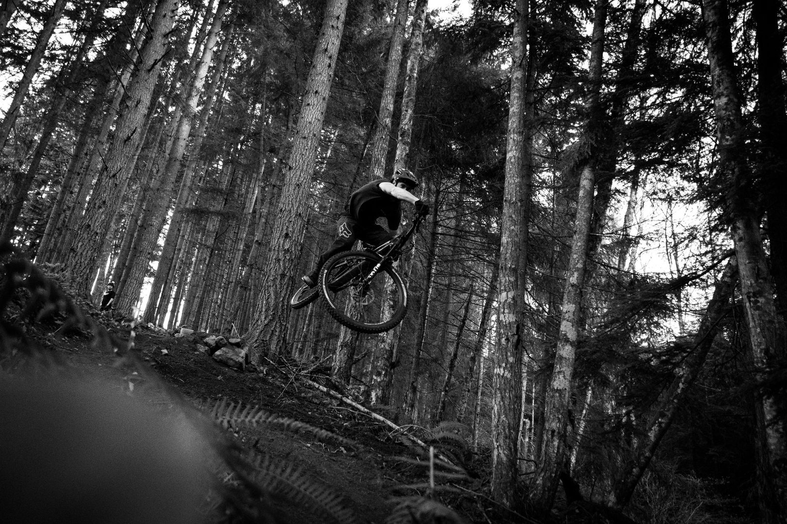 Conquer the Coasts and Peaks: Your Ultimate Guide to Mountain Biking in British Columbia Canada