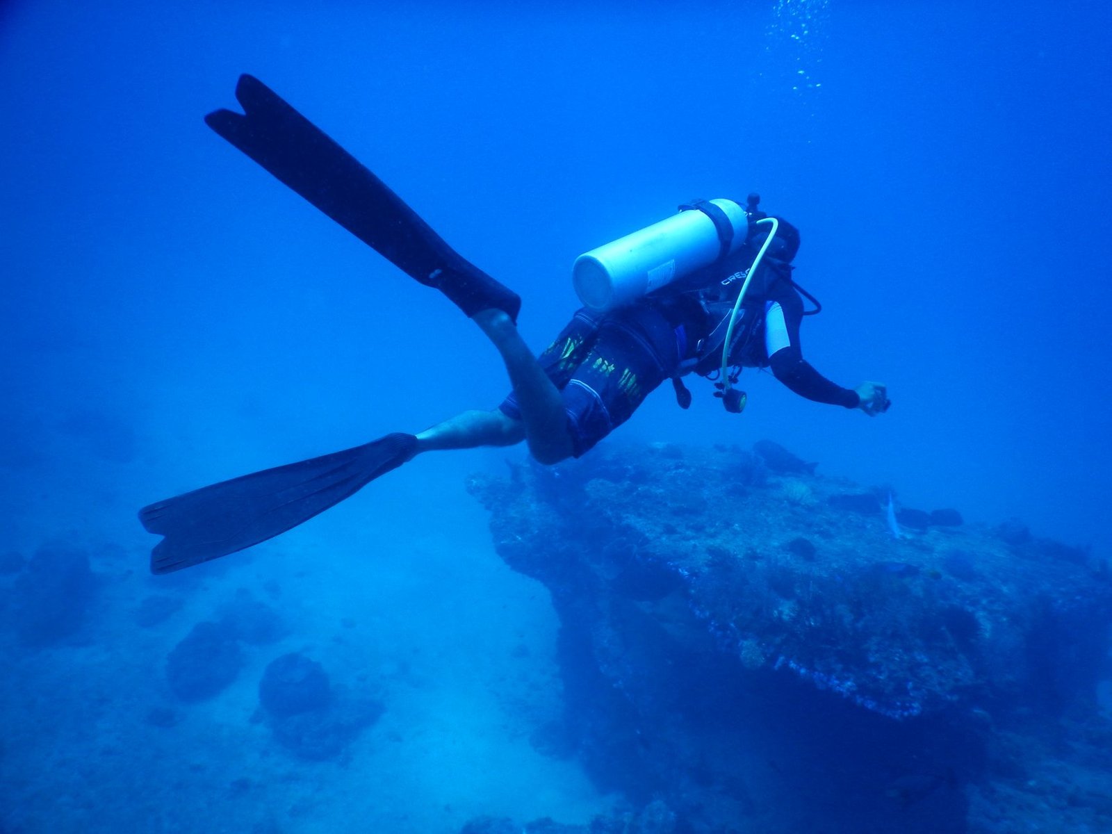 Diving the Great White Wall Fiji: An Essential Guide for Scuba Enthusiasts