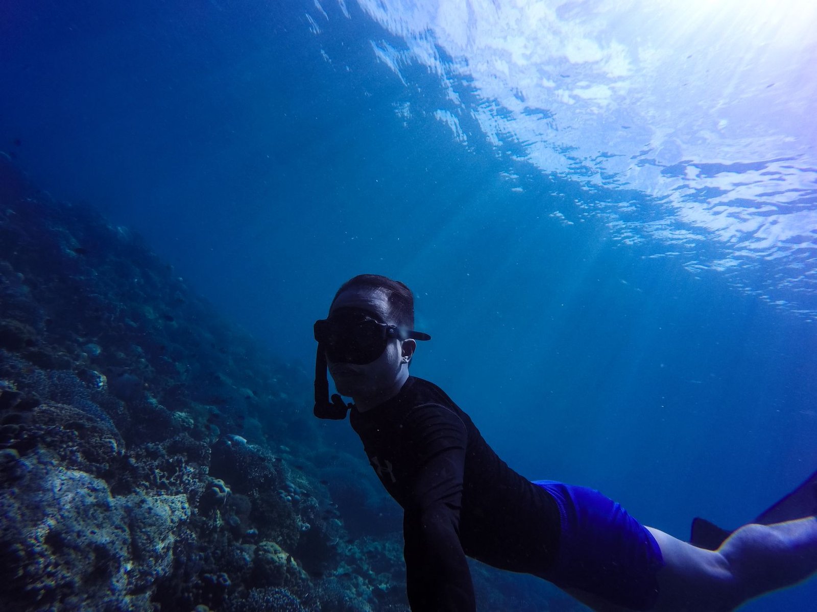 Unveiling the Depths: Your Guide to Coral Triangle Diving in Timor Leste