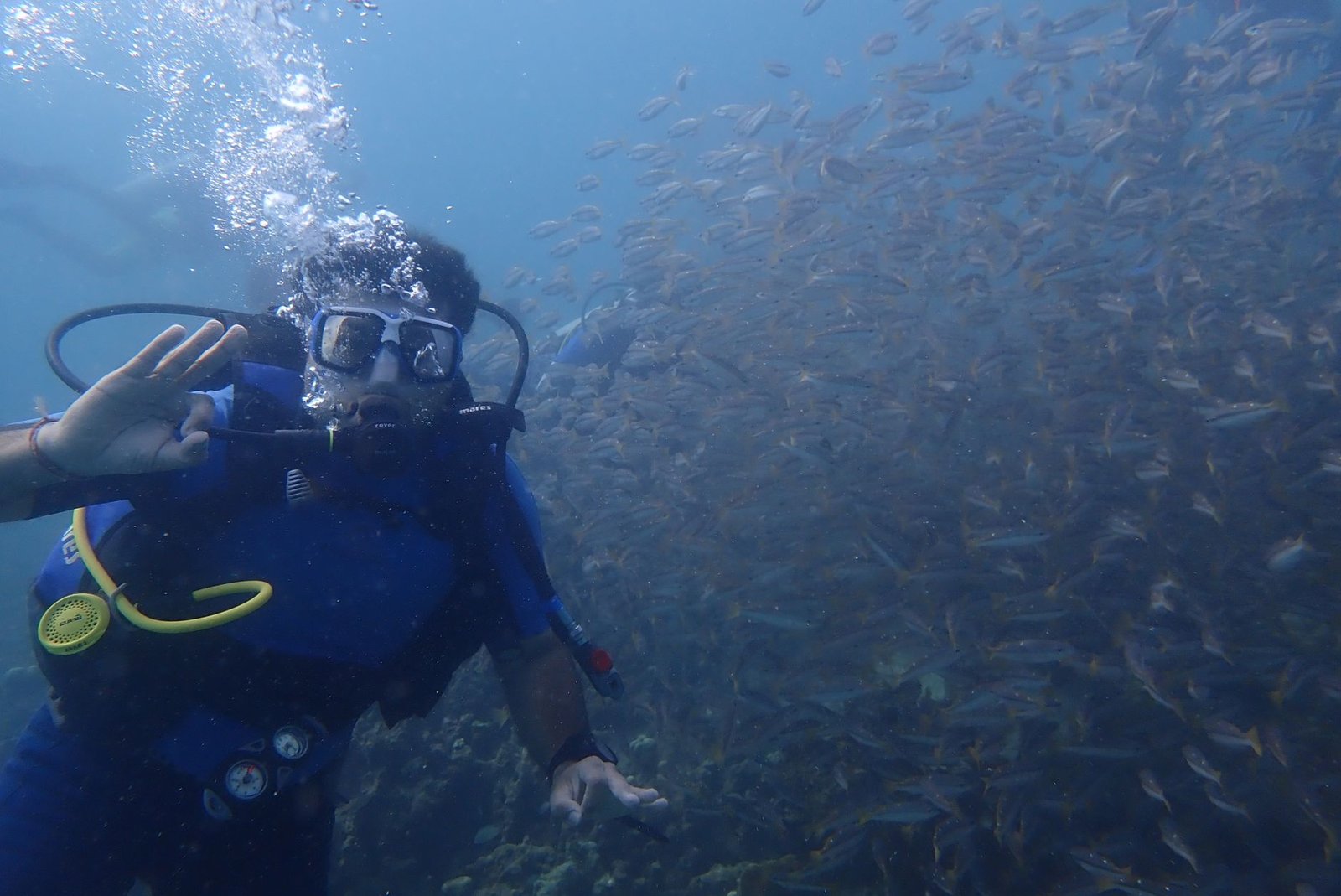 Diving the Similan Islands Thailand: An Unforgettable Underwater Odyssey