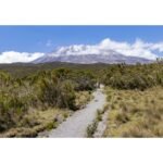 Conquering the Roof of Africa: Your Ultimate Guide to Hiking Mount Kilimanjaro Tanzania