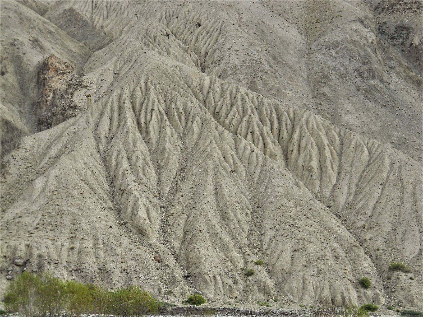 Trekking in Ladakh India Himalayas: An Enthusiast's Guide to High-Altitude Adventures