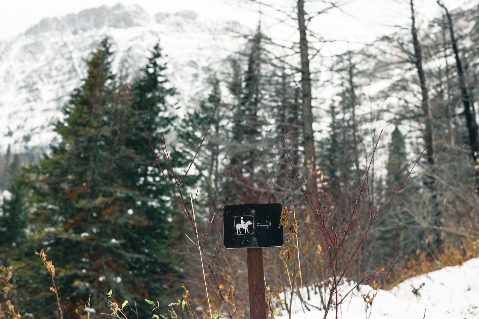 Hiking Jasper National Park Alberta: An Enthusiast's Guide to Wilderness Immersion