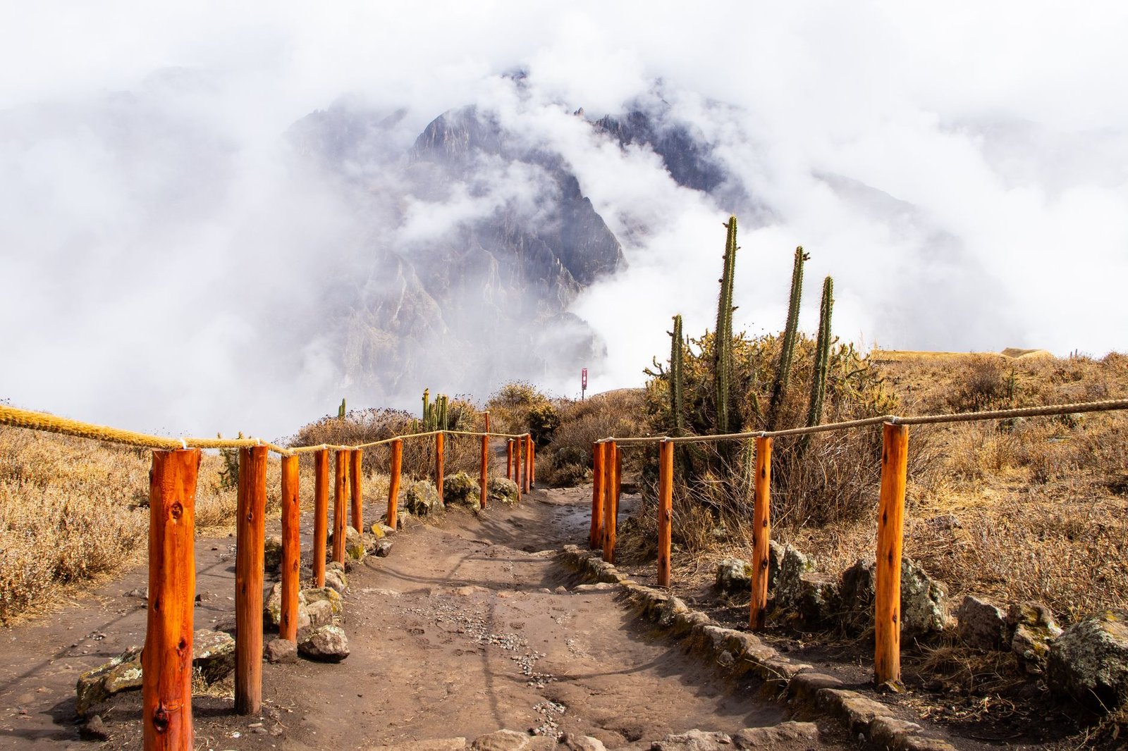 Embark on an Epic Journey: Your Guide to Hiking Colca Canyon Peru