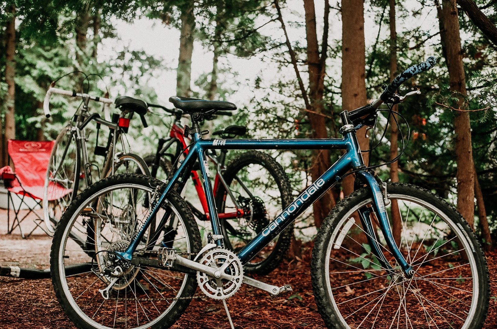 Conquer the Trails: Your Ultimate Guide to Bike Trails in Bentonville Arkansas