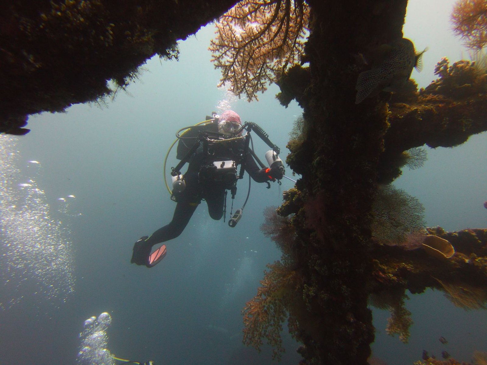 Discovering the Mystical Underwater Caves of Tonga Pacific: A Diver's Guide
