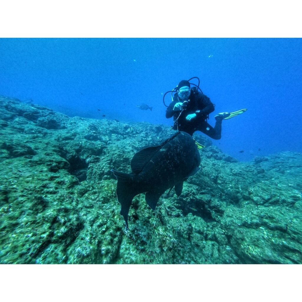 Unveiling History: Wreck Diving North Carolina's Graveyard of the Atlantic