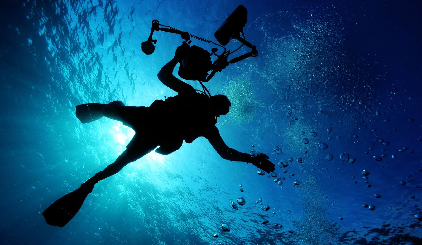 Unveiling the Underwater Wonders: Diving Zanzibar Tanzania Indian Ocean