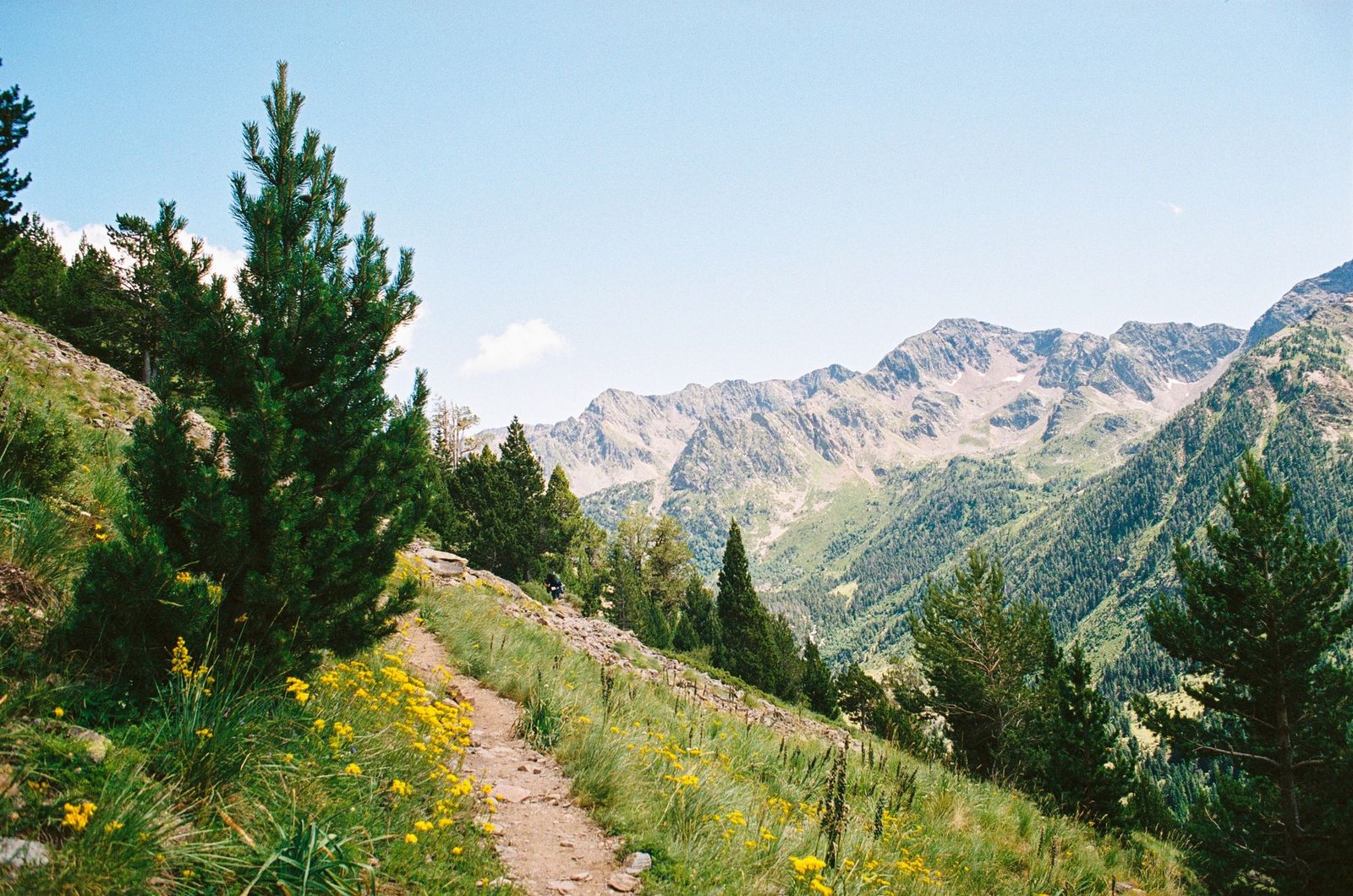 Embarking on the Journey: A Comprehensive Guide to Hiking the Camino de Santiago Spain