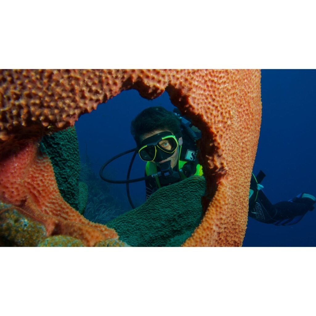 Scuba Diving Bonaire Caribbean Netherlands: An Enthusiast's Guide to Diver's Paradise
