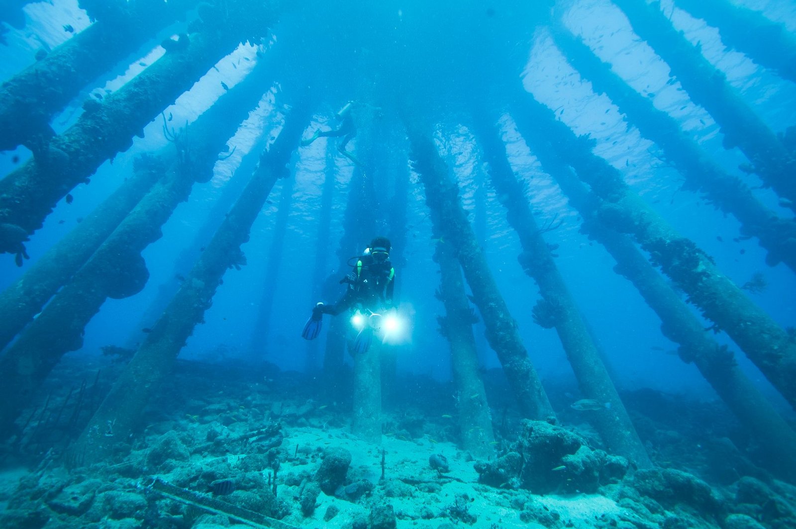 Scuba Diving Bonaire Caribbean Netherlands: An Enthusiast's Guide to Diver's Paradise