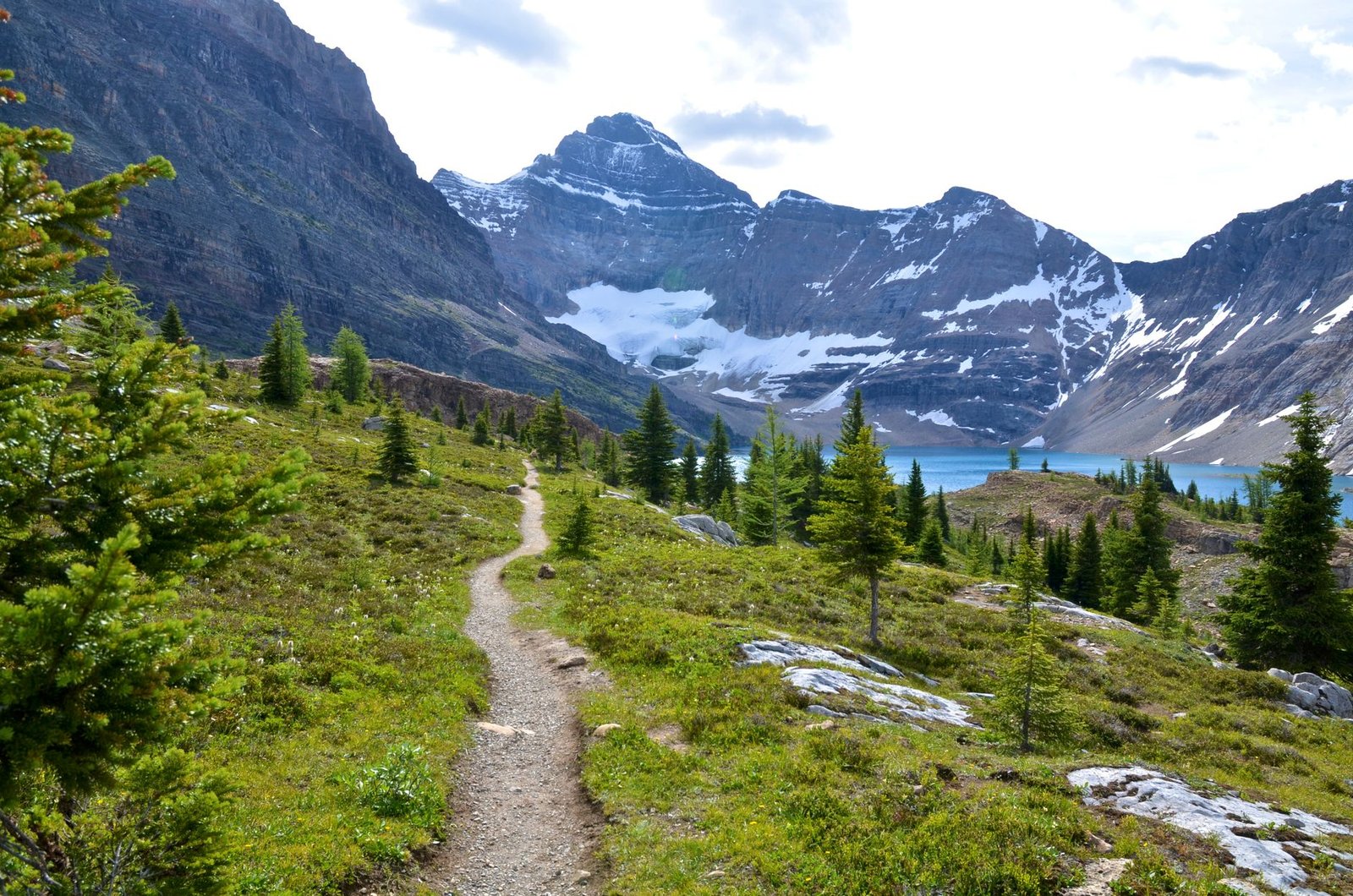 Conquering the Wild: Your Ultimate Guide to Hiking the West Coast Trail Canada