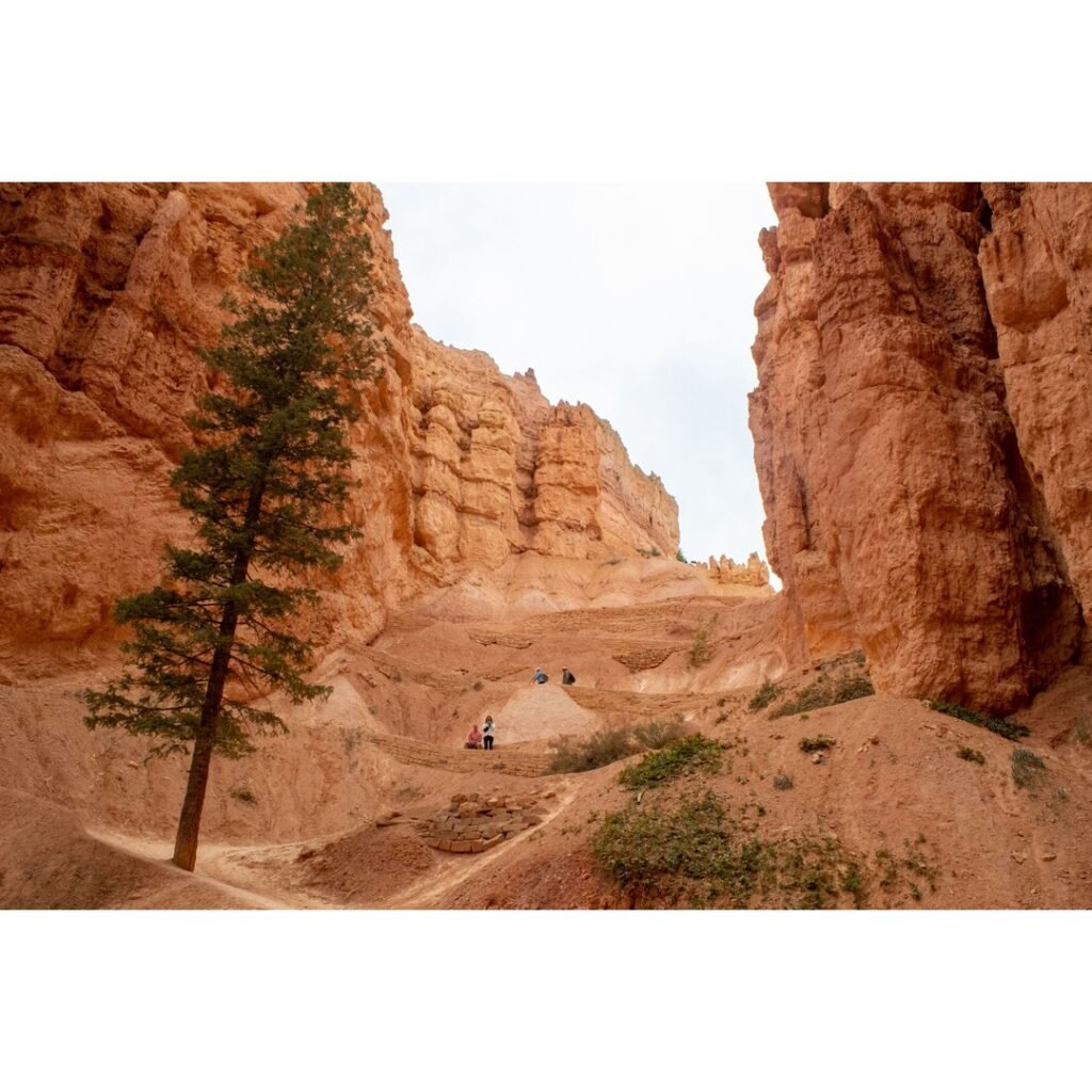 Discovering the Majestic Trails in Bryce Canyon National Park Utah: A Hiker's Guide