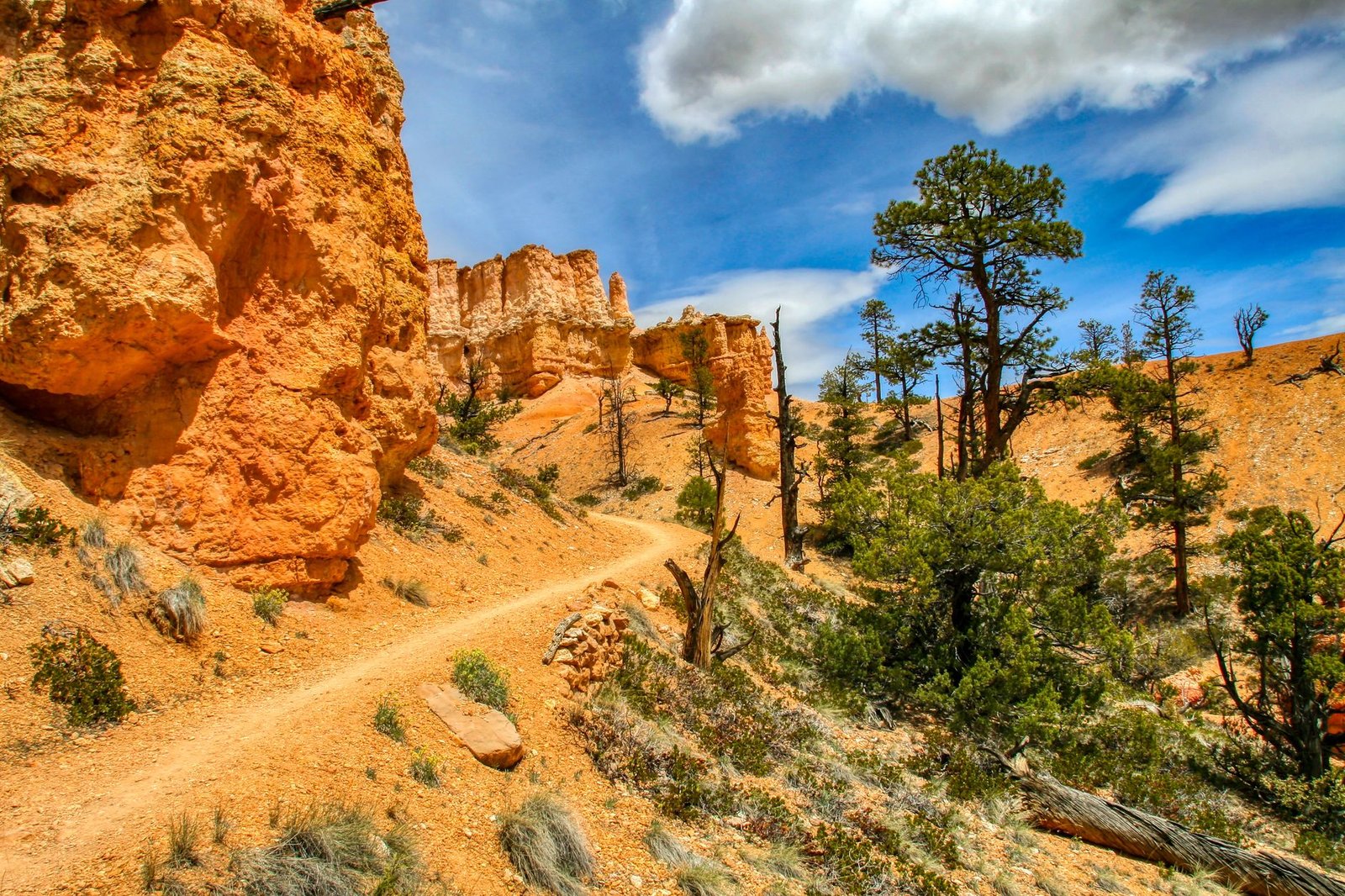 Discovering the Majestic Trails in Bryce Canyon National Park Utah: A Hiker's Guide