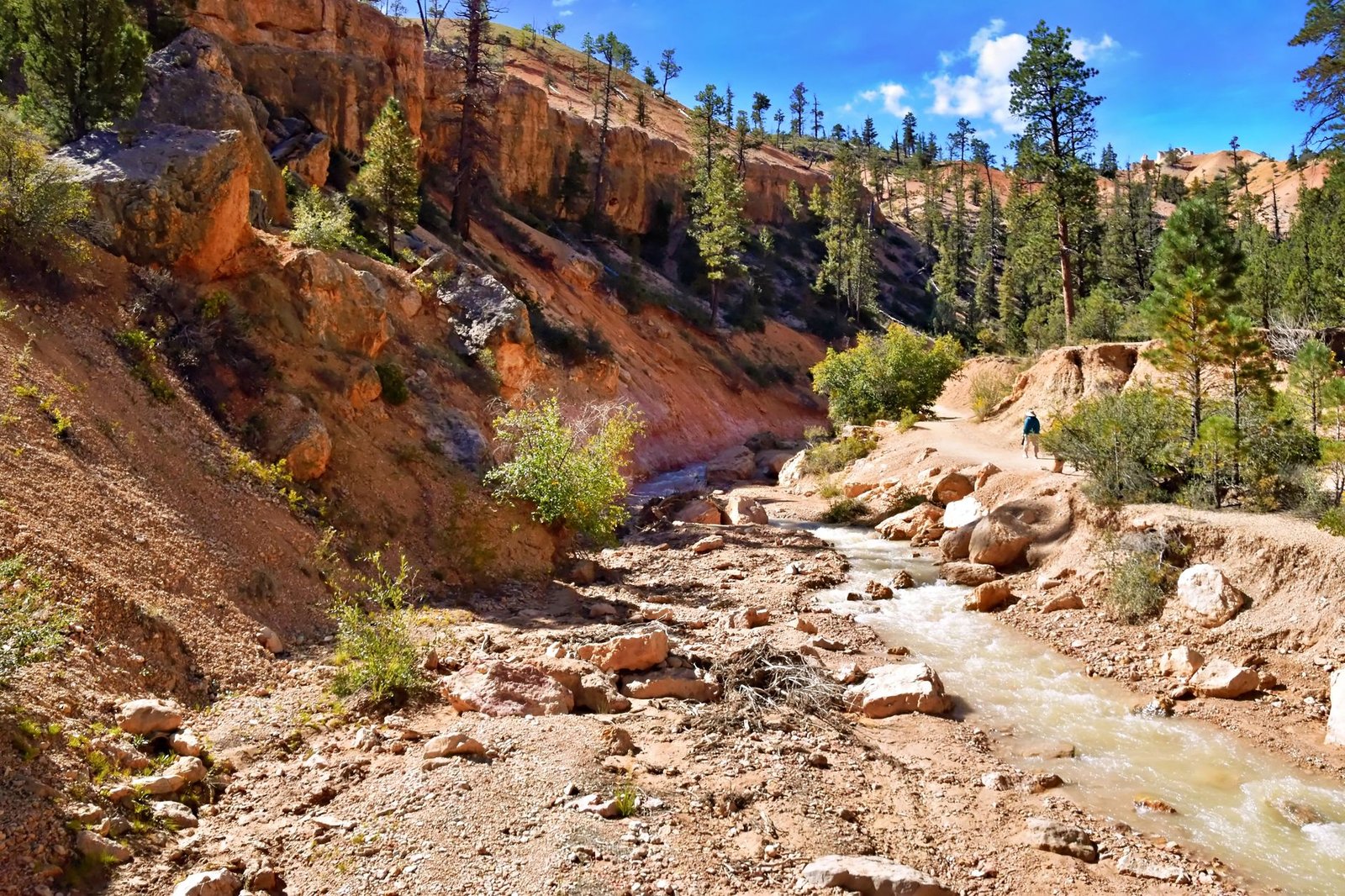 Discovering the Majestic Trails in Bryce Canyon National Park Utah: A Hiker's Guide