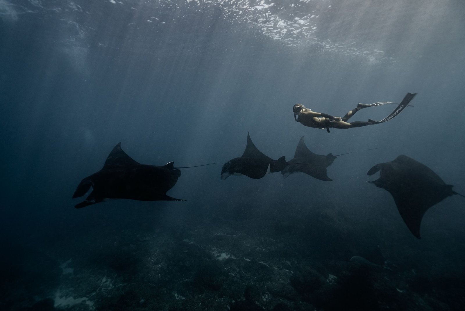Scuba Diving Yap Micronesia with Manta Rays: An Unforgettable Underwater Encounter
